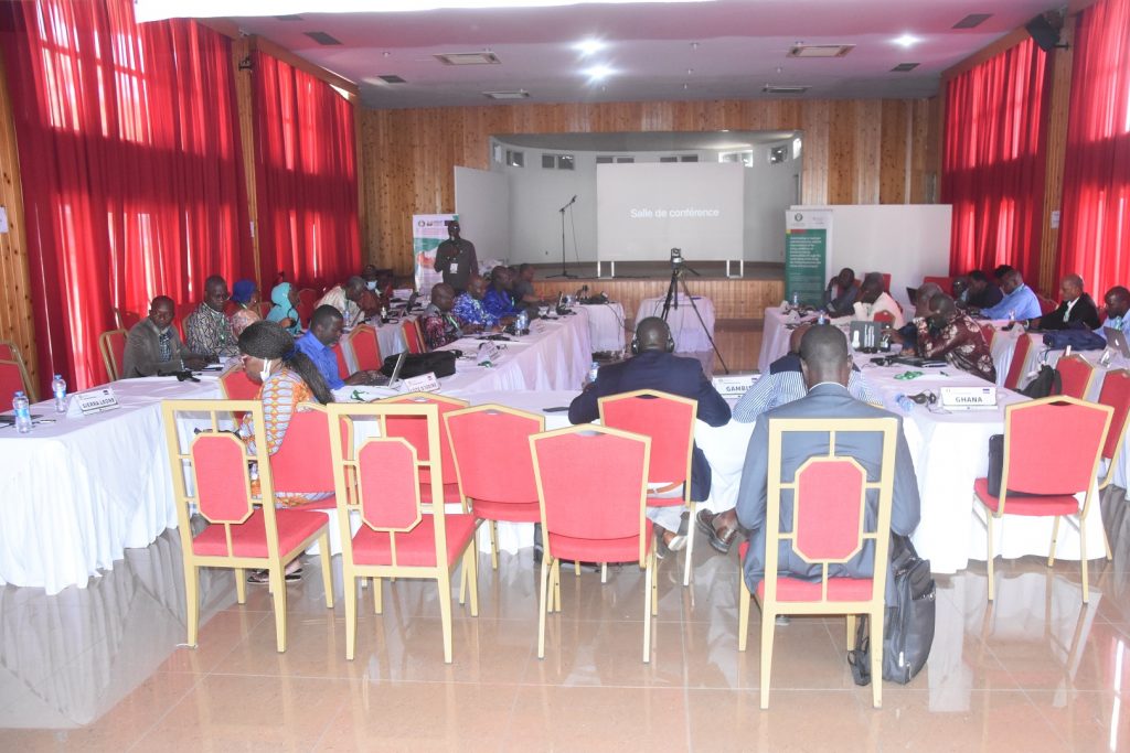 Which Vaccination Strategy for eradicating Transboundary animal Diseases in West Africa by 2030?