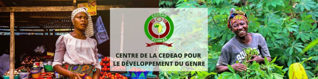 Os Ministros e Peritos responsáveis das questões do Género dos Estados membros da CEDEAO reúnem-se em Acra para a Validação do plano Estratégico 2023-2027 do CCDG.