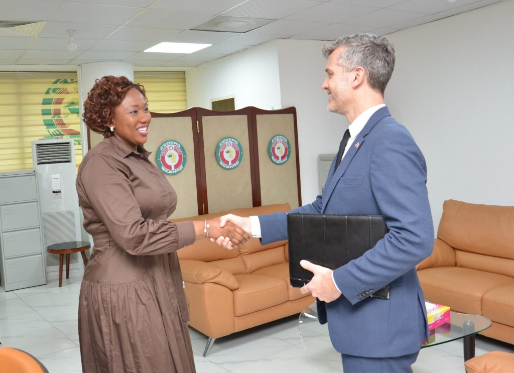 Strengthening Partnership between ECOWAS Vice-President and Danish Ambassador