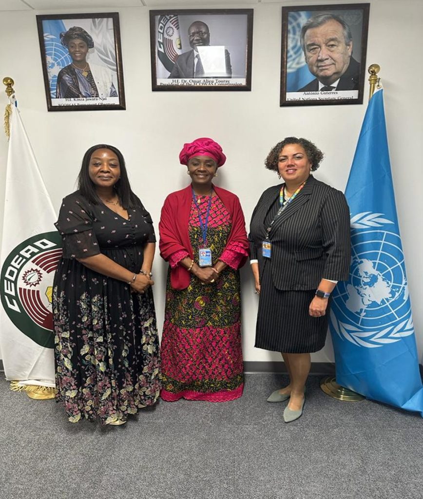 ECOWAS Permanent Observer Mission to The United Nations