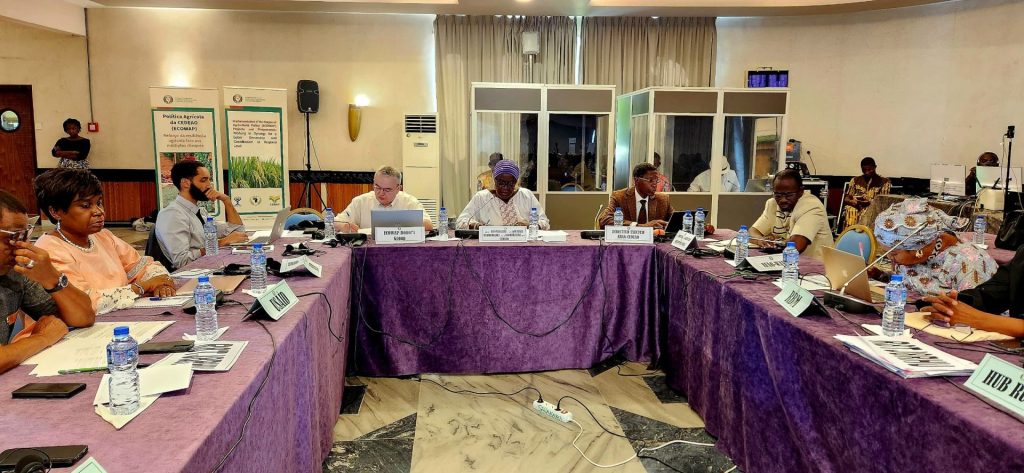 Regional Agency for Agriculture and Food (RAAF): 10 Years Serving the Agricultural Development in West Africa and the Sahel