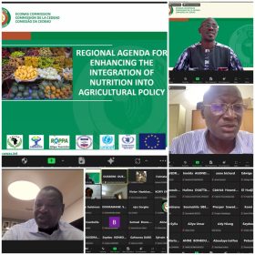 Launch of a regional agenda for integrating nutrition into Agricultural policies and programs