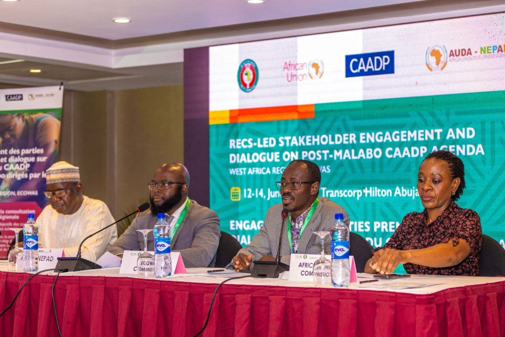 ECOWAS Holds Consultations with Member States for a Post Malabo Agenda