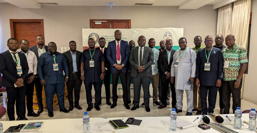 ECOWAS Holds a Training Workshop for Stakeholders in the Energy Sector, on the Computerised Energy Information System in Togo