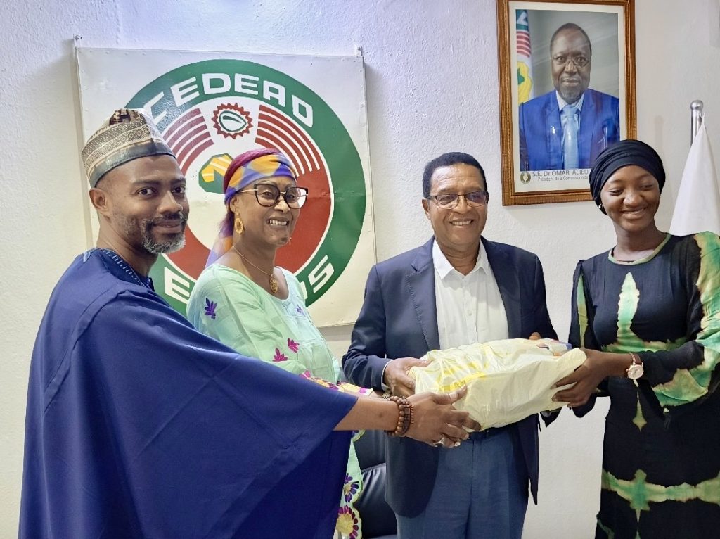 ECOWAS Representation in Mali: End of Mission for the Resident Representative