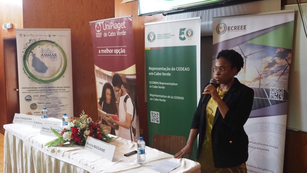 UniPiaget of Cabo Verde and ECREEE Engage in High-Level Workshop on Climate Change