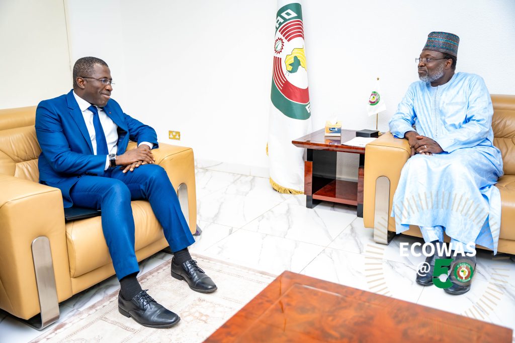 Courtesy visit by Prof. Wautabouna OUATTARA, Executive Director of the West Africa Department of the International Monetary Fund (IMF), to H.E. Dr. Omar Alieu Touray