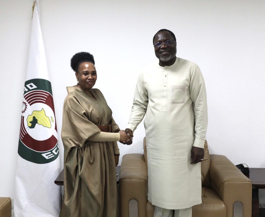 Courtesy visit of the deputy high commissioner of the republic of South Africa to the ECOWAS Commission