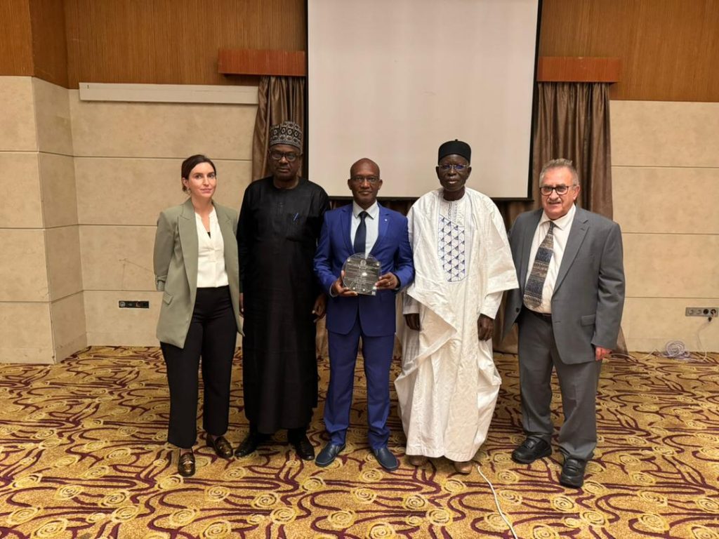 Strengthening the 330 kV Nigeria–Benin Interconnection: A WAPP Project Recognized Internationally
