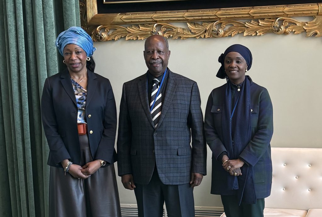 UNOWAS SRSG MEETS WITH THE ECOWAS PERMANENT OBSERVER AND THE CHAIR OF THE ECOWAS GROUP AT THE UNITED NATIONS ON THE RENEWAL OF THE UNOWAS MANDATE.