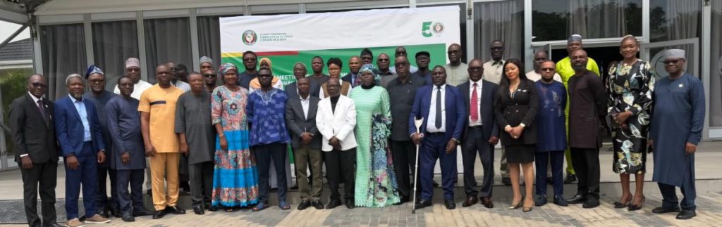 EXPERTS FROM ECOWAS MEMBER STATES MEET ON THE  OPERATIONALISATION OF ECOWAS-ECOSOCC IN ACCRA