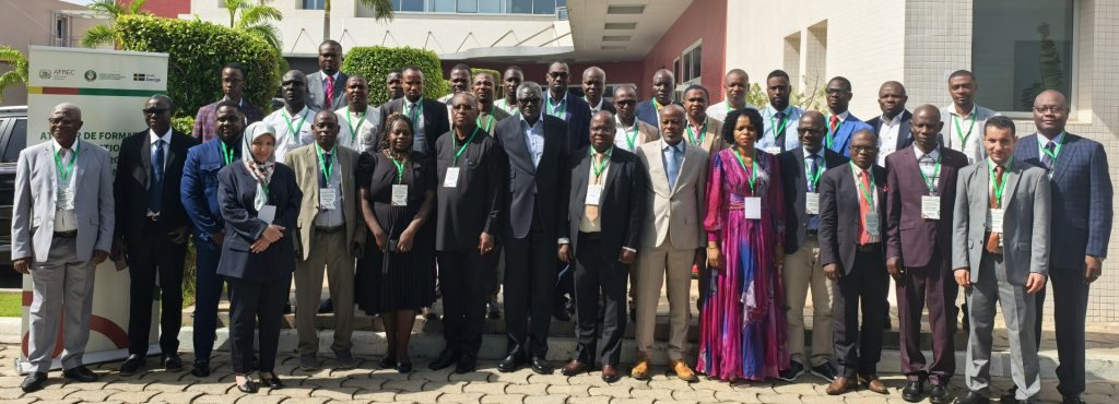 AFREC AND ECOWAS REINFORCED THE CAPACITY OF NATIONAL EXPERTS TOWARD A ROBUST AND RELIABLE ENERGY INFORMATION ARCHITECTURE AND STATISTICS DATA