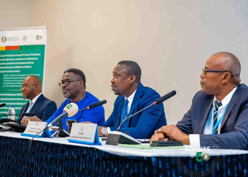 ECOWAS HOLDS TECHNICAL WORKSHOPS ON BIG DATA, SECTORIAL STATISTICAL INDICATORS, AND ENVIRONMENTAL STATISTICS TO STRENGTHEN REGIONAL STATISTICAL SYSTEMS