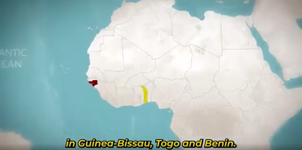 Mise en oeuvre des projects pilot FRSD  et Quick impact au Togo et en Guinée Bissau