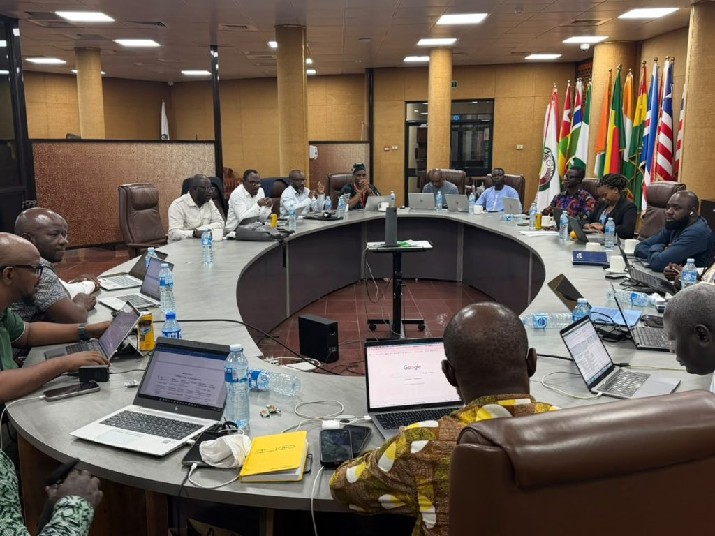 COMISSÃO DA CEDEAO ORGANIZA REUNIÃO DO COMITÊ DE AVALIAÇÃO SOBRE A CAPACIDADE DE CABO SUBMARINO NA ÁFRICA OCIDENTAL NO ÂMBITO DO WARDIP