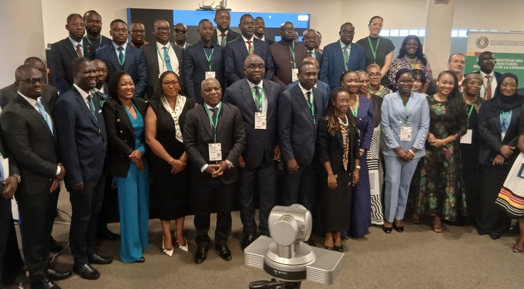 DEVELOPING BANKABLE INFRASTRUCTURE IN THE ECOWAS REGION THROUGH PUBLIC-PRIVATE PARTNERSHIPS (PPP)