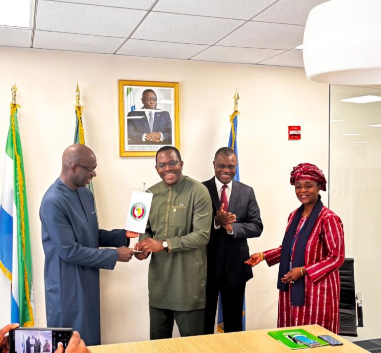 MEETING OF ECOWAS GROUP OF AMBASSADORS AT THE UN FOR THE MONTH OF AUGUST 2026 AND PASSING OF BATON CEREMONY OF GROUP CHAIR