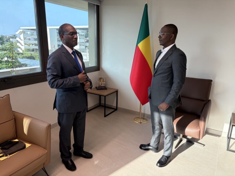 WEST AFRICAN POWER POOL’S SECRETARY GENERAL RECEIVED IN AUDIENCE BY BENIN’S MINISTER DELEGATE FOR  EXTERNAL RESOURCE MOBILIZATION AND DEBT