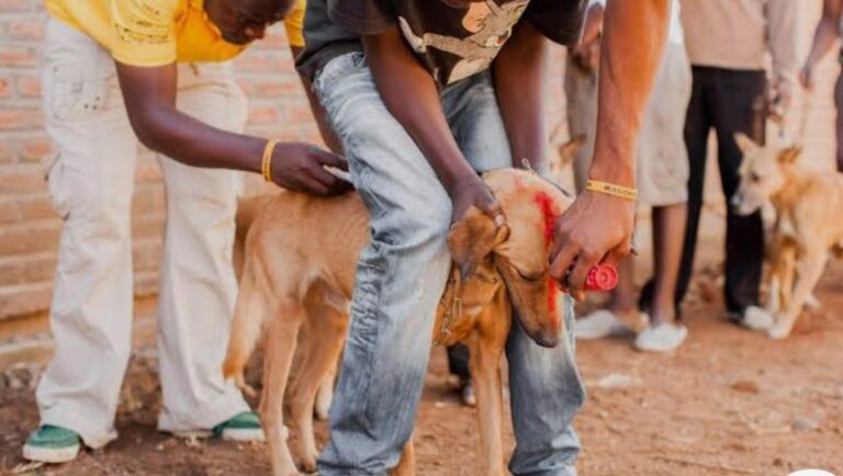 WORLD RABIES DAY: ECOWAS calls for collective action to eliminate human deaths from rabies.