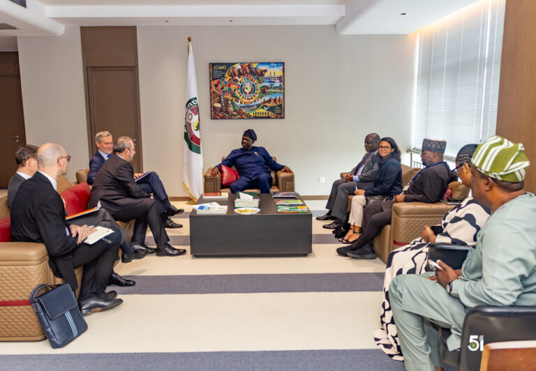 THE VICE-PRESIDENT OF THE ECOWAS COMMISSION RECEIVES THE DIRECTOR-GENERAL OF THE FRENCH DEVELOPMENT AGENCY