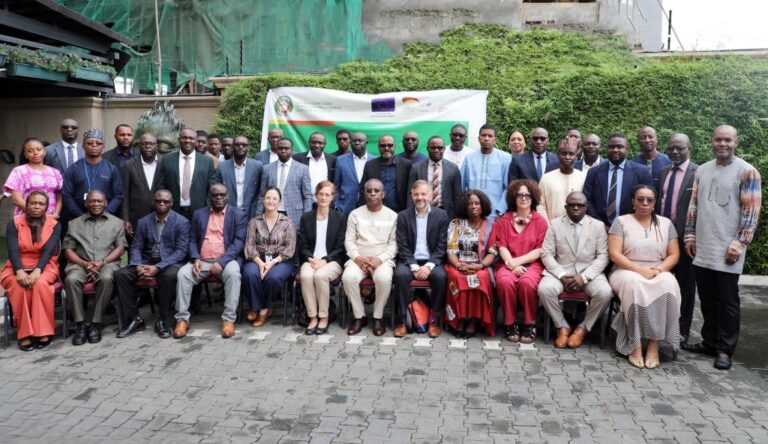 LA CEDEAO, L’UNION EUROPÉENNE ET LA GIZ MARQUENT LE LANCEMENT OFFICIEL DU SYSTÈME RÉGIONAL DE GOUVERNANCE ET D’INFORMATION EN MATIÈRE D’ÉNERGIE EN AFRIQUE DE L’OUEST (REGIS-WA)