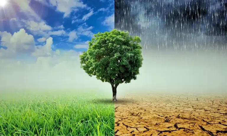 LA CEDEAO RENFORCE SON ACTION SUR LE CLIMAT ET LA MOBILITÉ HUMAINE LORS DES RÉUNIONS DE L’UNION AFRICAINE À ADDIS-ABEBA
